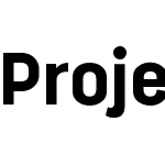 Project Sans