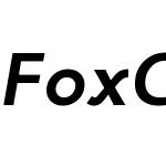 Fox Grotesque Pro