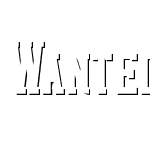 Wanted Denim