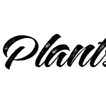 Plants