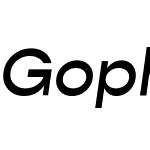 Gopher Text