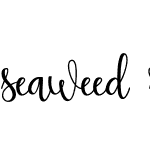 seaweed regular