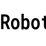 RobotoJ Mono