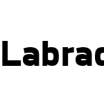 Labrador A