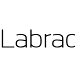 Labrador A