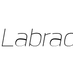 Labrador A