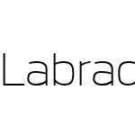 Labrador B