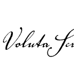 Voluta Script