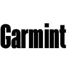 Garmint