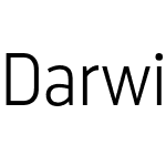 Darwin Pro ExtraLight