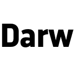 Darwin Pro Bold