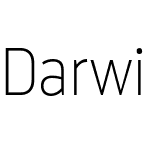 Darwin Pro Thin