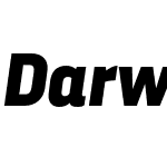 Darwin Pro Black It