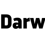 Darwin Pro Black