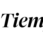 Tiempos Fine