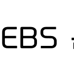 EBS 훈민정음 새론 R