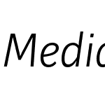 Mediator Light Italic