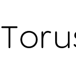 Torus Light