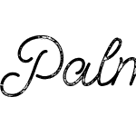 Palm Beach Script Rough