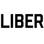 Liberator Medium
