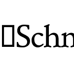 SchneidlerSH-Medium