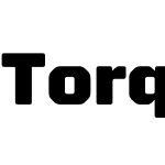 Torque Trial