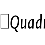 QuadraatSansCon-Italic