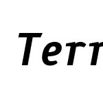 TerraSemiSlab-BlackItalic