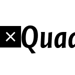 QuadraatSansOffc-CondBoldIta