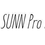 SUNN Pro