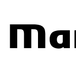 ManuelPro