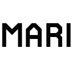 MARIO MAKER