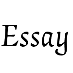 Essay Text