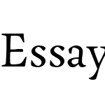 Essay Text