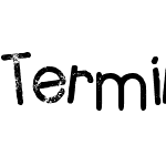 Terminal Grunge