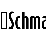 SchmalhansOT-Bold