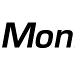 MonFnt13