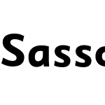 SassoonSansUSBold