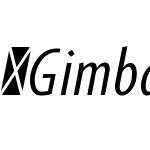 GimbalGrotComp-Ital