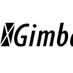 GimbalGrotComp-MedItal