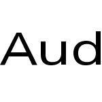 Audi Sans