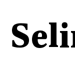 SelinaExtended-Black