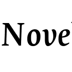 Novel Pro