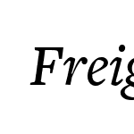 FreightText-MediumItalic