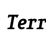 TerraSlab-BlackItalic