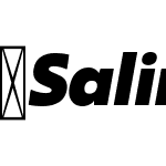 Salin-HeavyItalic