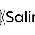 Salin-Regular