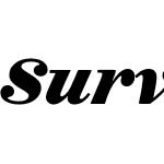 Surveyor Text