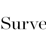 Surveyor Fine