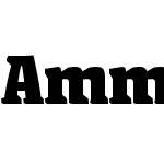 AmmanV3 Serif